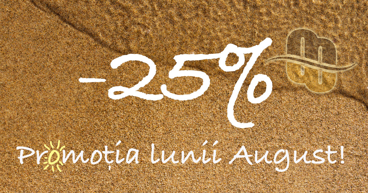 Mentenanta Site Web – Promotia lunii August!